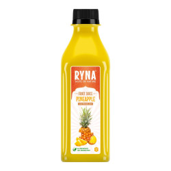 Ryna – chuť přírody  Ovocný džus – Ananas 200ML  (ZBOZI S PROSLOU TRVANLIVOSTI (07-10-2024)