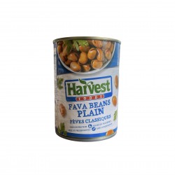 Fava Beans Plain 400g